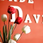 Πανσιόν Conde David Σαλαμάνκα