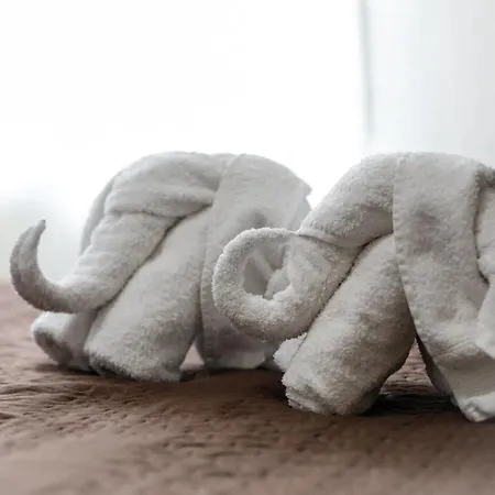 Conde David Vendégház 2*