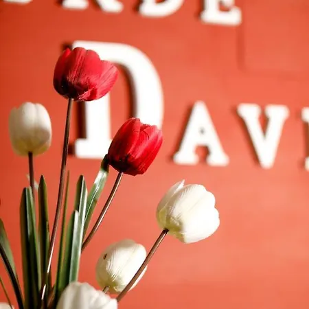 Vendégház Conde David Salamanca