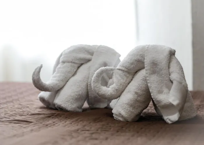 Conde David Pensión 2*