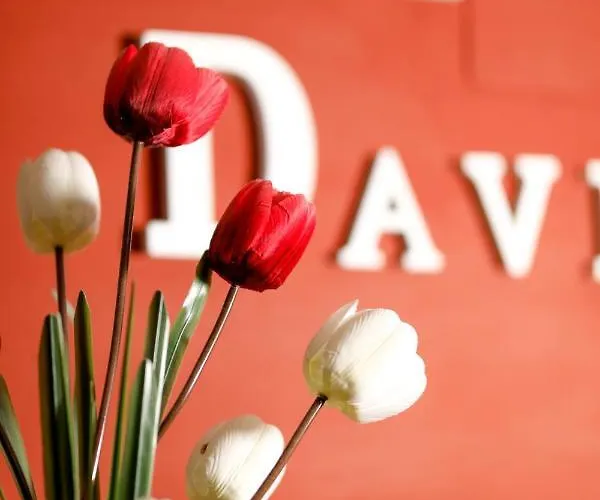 Pensión Conde David Salamanca